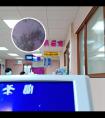 能否自己买308激光仪器使用